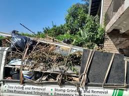 Best Appliance Removal  in Wisr, NE
